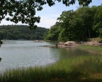 Sea Green Cottage - Delightful Tidal Oceanfront Camp - Deer Isle - Vista del exterior