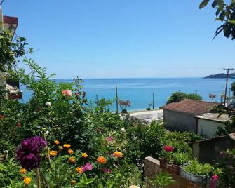 Friderica House - Poros - Outdoor view