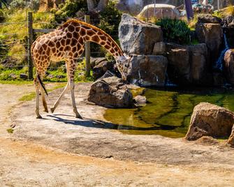The Quiet Quarter - Auckland