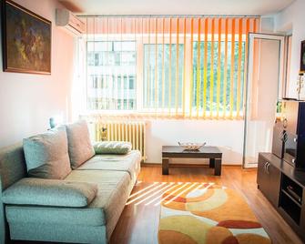 Sunny 2 rooms apartment Drumul Taberei central area + parking spot - Bucarest - Sala de estar