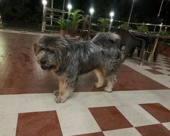 Sapphero Chanakya Resort - Rishikesh