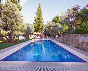 Stonehouse By Ipek Hotel - Sirince - Piscina