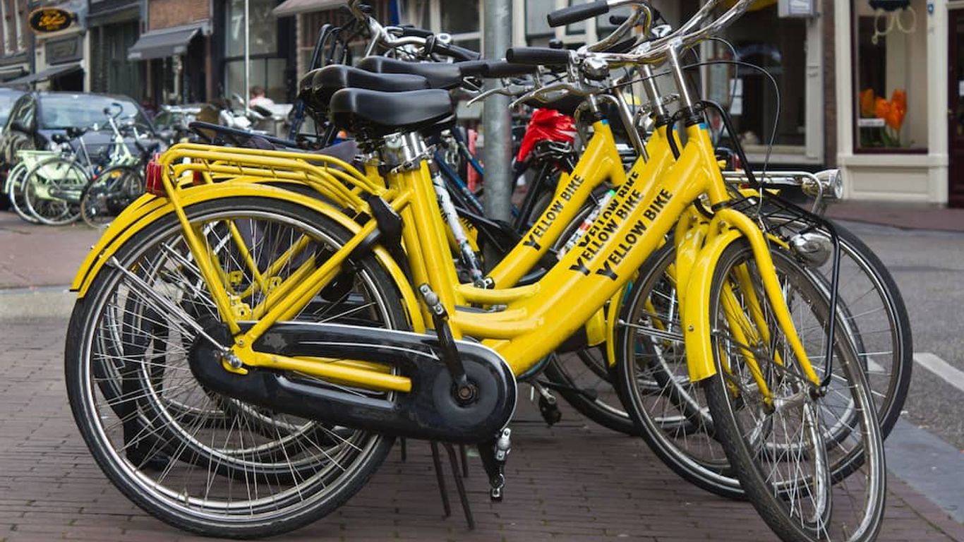 クエンティン ホテル ゴールデン ベア