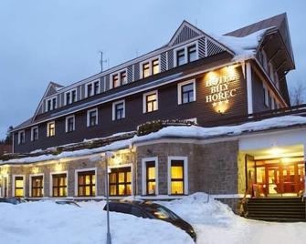 Spa Hotel Bily Horec - Harrachov - Bygning