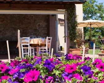 Podere I Melograni - Montescudaio - Patio