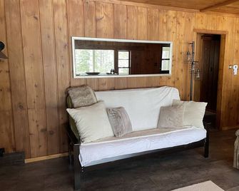 Lake Home on Three Lakes chain of lakes, WI Northwoods. 220 ft private frontage - Three Lakes - Living room