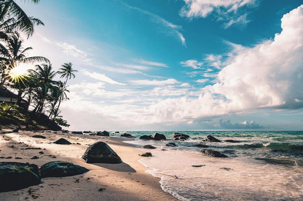 Awesome Maui Vista Beach Suite - קיהי - חוף