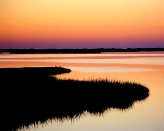Assateague Inn 105-S - Chincoteague - Outdoors view