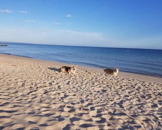 Abbey Beach Shack - Busselton - Strand