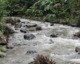 Raj Estate Stay - Madikeri - Buiten zicht