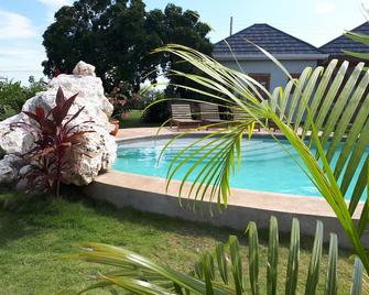Tropical paradise in a friendly, safe, low-key community - Treasure Beach - Pool