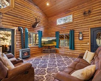 Beautiful Cabin on the HIll - Private, Hot Tub, Pet Friendly - Garden Valley - Sala de estar