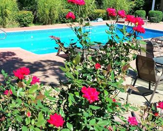 Lafayette Manor and Winery Bed & Breakfast - Waynesville - Pool