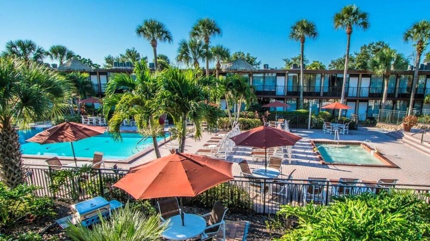Magic Tree Resort