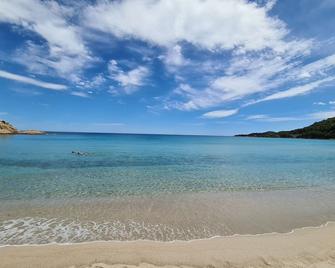 Residence Canella - Sari-Solenzara - Pláž