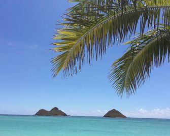 La Bella’s Bed & Breakfast-Honu (Turtle) Suite-Walk to beach-In Kailua (O’ahu) - Kailua - Beach