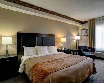 Comfort Inn & Suites - Seguin - Bedroom