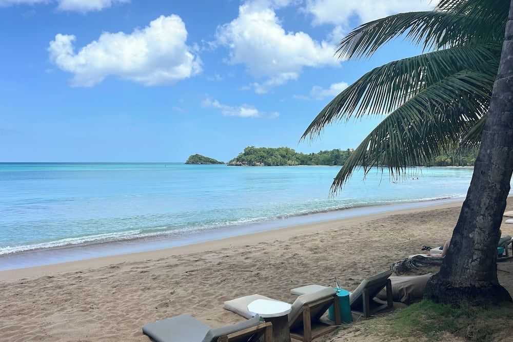 Dominican Jungle Resort - Samana - Praia