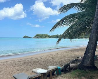 Dominican Jungle Resort - Samana - Praia