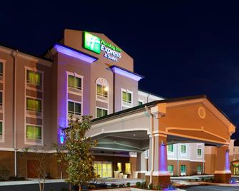 Holiday Inn Express Hotel & Suites Valdosta Southeast - Valdosta - Bina