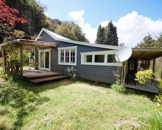 Charming older style cottage . - Reefton - Building