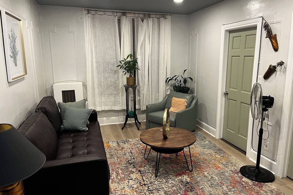 A charming comfy apartment with bright lights and lots of sunlight. - بروكلين - غرفة معيشة