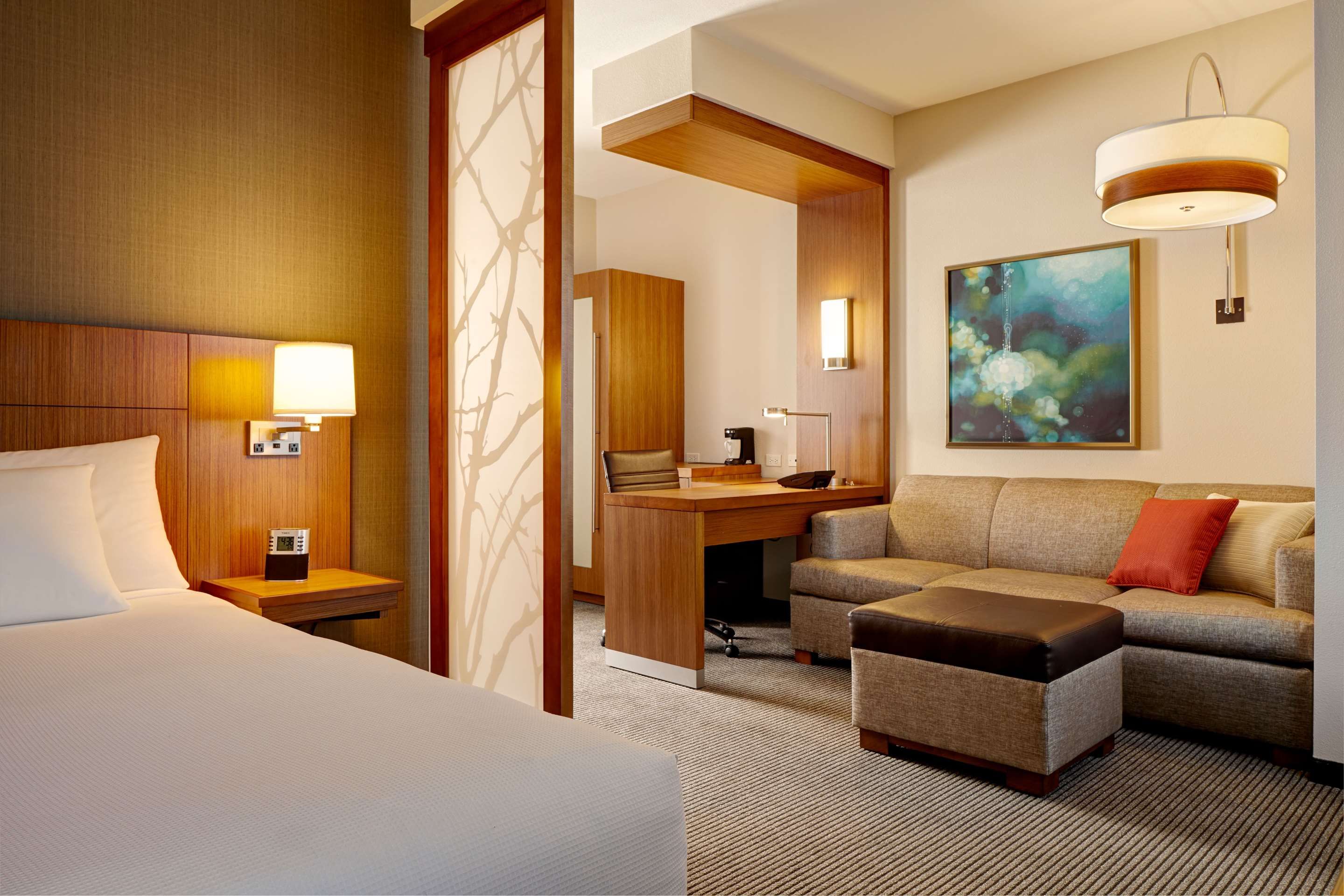 Hyatt Place Detroit/Novi - Novi - Sovrum