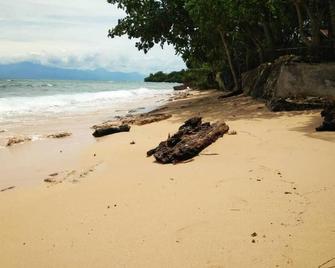 Tori's Backpacker's Paradise - San Juan - Playa