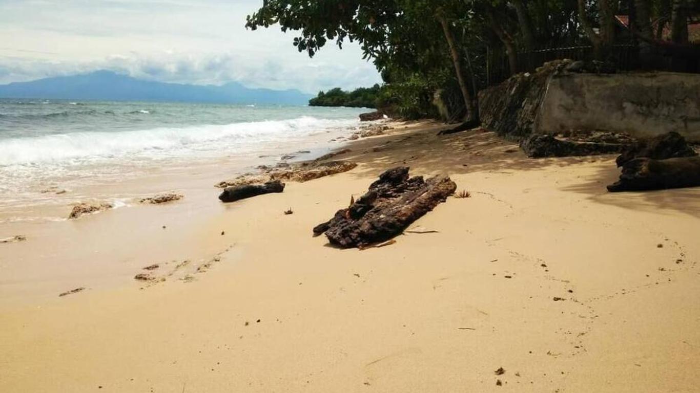 Tori's Backpacker's Paradise