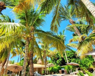 Coco Cabañas and Casitas Vacation Rentals - Loreto - Pool