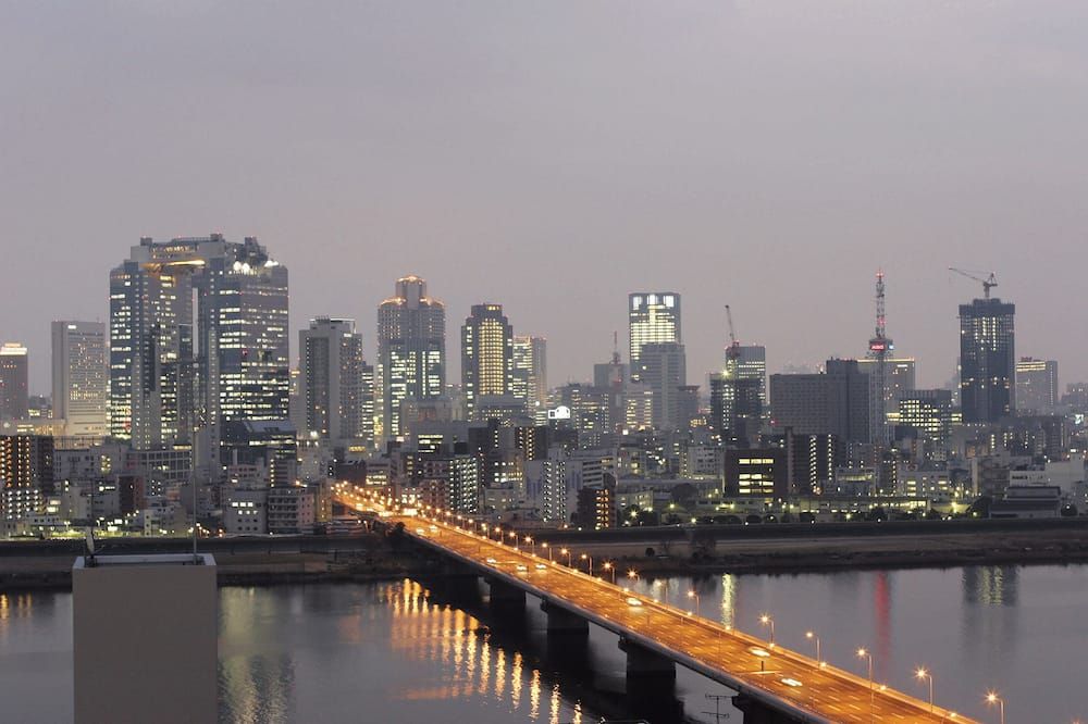 Hotel Plaza Osaka - אוסקה - נוף חיצוני