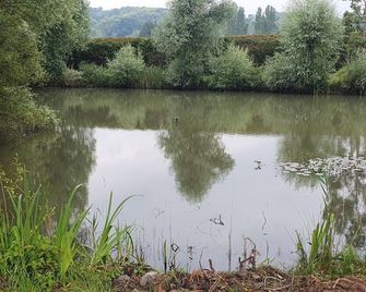 A place of zen - Saint-Georges-de-Gréhaigne - Outdoors view
