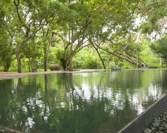 Lagoon House Rekawa - Tangalla - Pileta