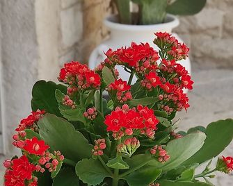 La Maison - Trani - Edificio