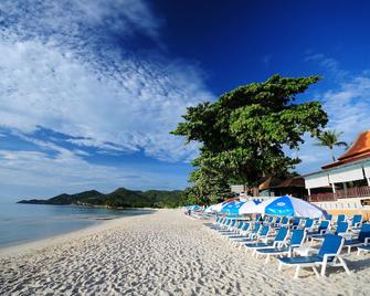 Chaweng Cove Beach Resort - Ko Samui - Beach