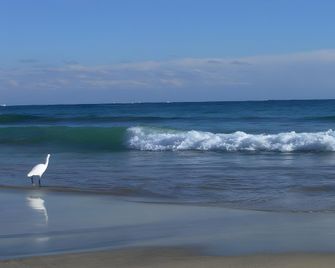 Sunshine Shirako New - Shirako - Playa