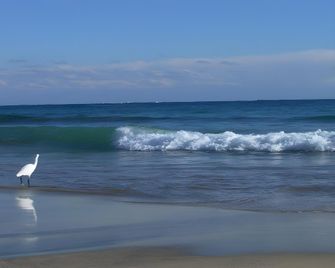 Sunshine Shirako New - Shirako - Beach