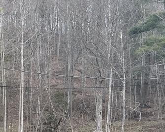 Economy Inn - Alfred