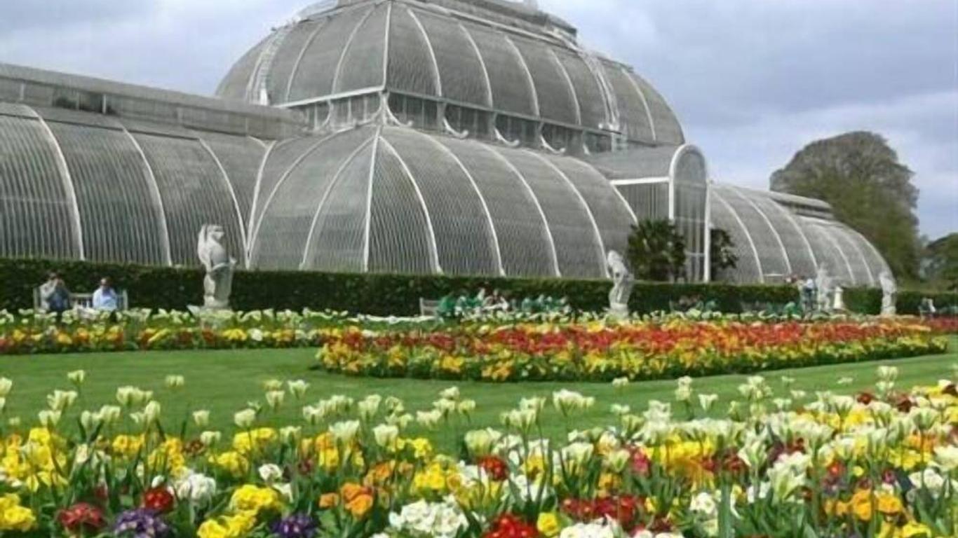 Kew Studios and Rooms