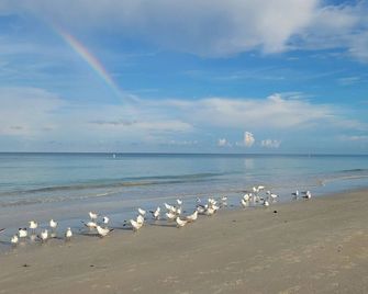 Beachfront Cottages Garden At Beautiful Sandy Shores On Gulf Of Mexico - Indian Rocks Beach - Beach