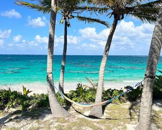 Every Room With a View - North Palmetto Point - Playa