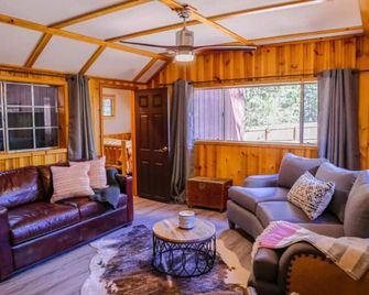 Skylight Cabin - 2 Minutes Away from Town! - Idyllwild - Living room