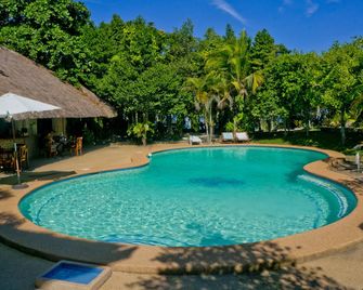 The Blue Orchid Resort - Moalboal - Pool
