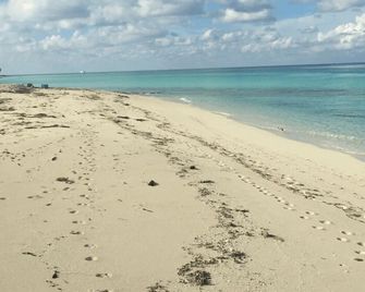 Bimini Lofts Across From Big Game Club - 2 Of 2 Furnished Apts - Alice Town - Beach