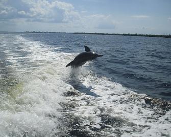 Escape the daily grind: 4 nights for the price of 3! - Fort Myers