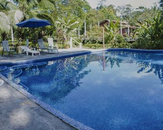 Caribbean Paradise Eco-Lodge - Tortuguero - Pool