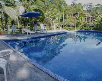 Caribbean Paradise Eco-Lodge - טורטוגוארו - בריכה