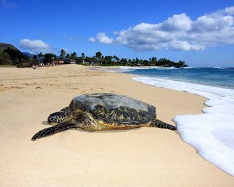 Oluolu By Avantstay Single-Story Home By - Waianae - Plaża