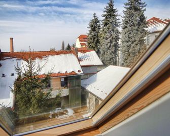 Rooms & Apartments Silak - Ptuj - Balkón