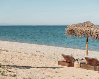 Modern Beachfront Villa in Gorgeous Skala, Kefalonia - Skala - Plaża